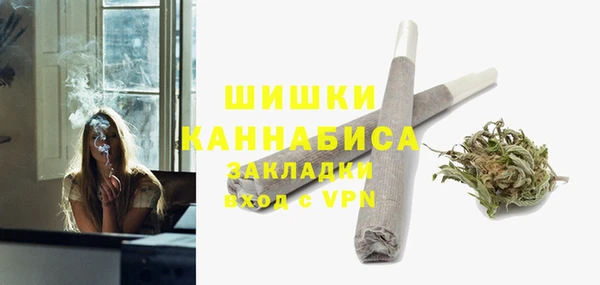 PSILOCYBIN Заводоуковск