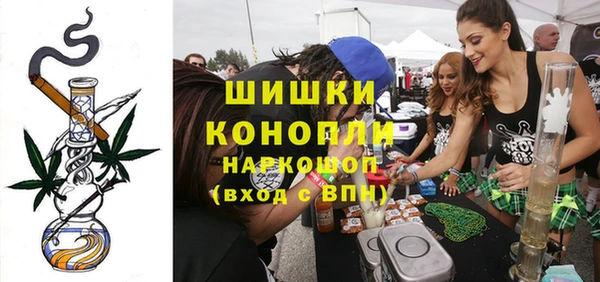 PSILOCYBIN Заводоуковск