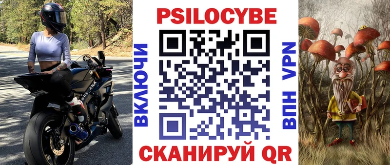Галлюциногенные грибы Psilocybe  где купить наркоту  Обь 