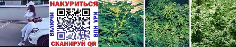 магазин  наркотиков  Обь  МАРИХУАНА White Widow 